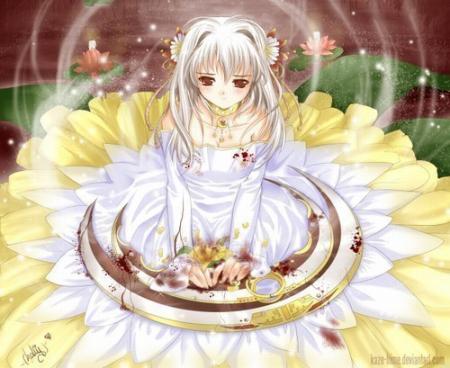 MAGIE DES FLEURS